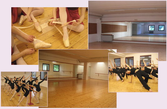 foto d'insieme INCONTRA LA DANZA